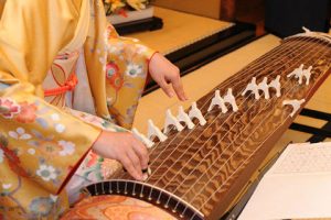 koto_closeup
